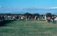 103 Donkey Derby 1973